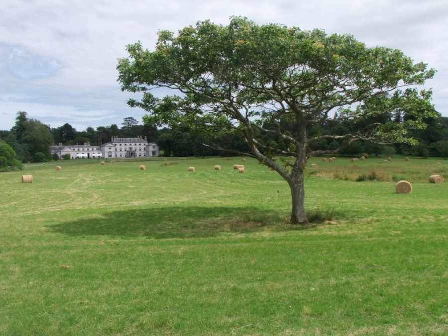 Fota House from Cork Harbour Through Time, 2014