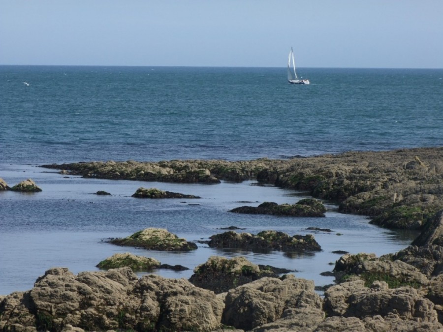 Myrtleville from Cork Harbour Through Time, 2014