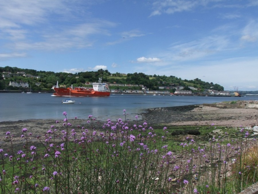 Passage West from Cork Harbour Through Time, 2014