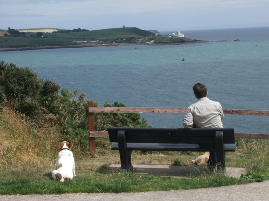 Roche's Point from Cork Harbour Through Time, 2014