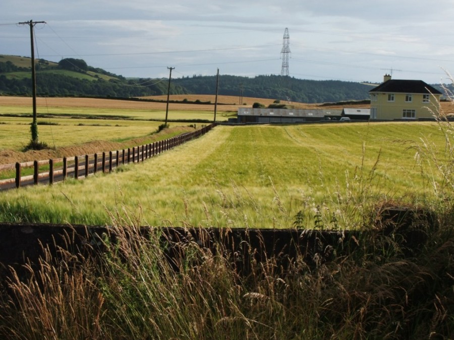 Saleen Road from Cork Harbour Through Time, 2014