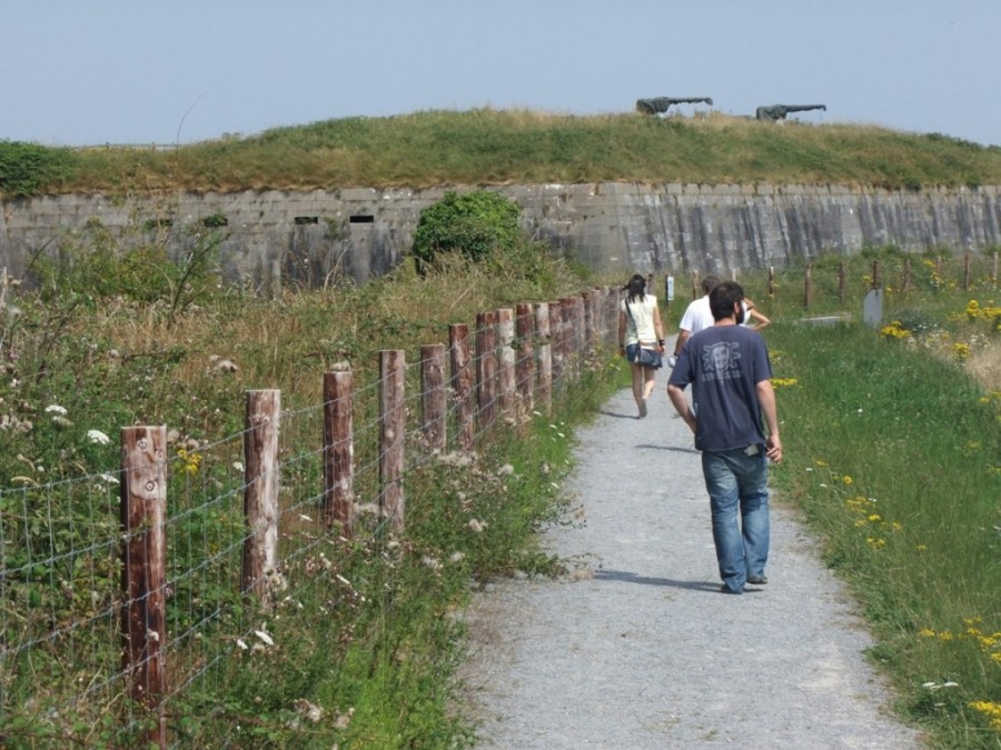 Spike Island from Cork Harbour Through Time, 2014