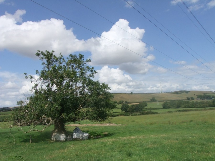 Tilkestin Holy Well from Cork Harbour Through Time, 2014