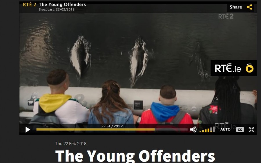 12. Whale Watching, Young Offenders TV show, February 2018