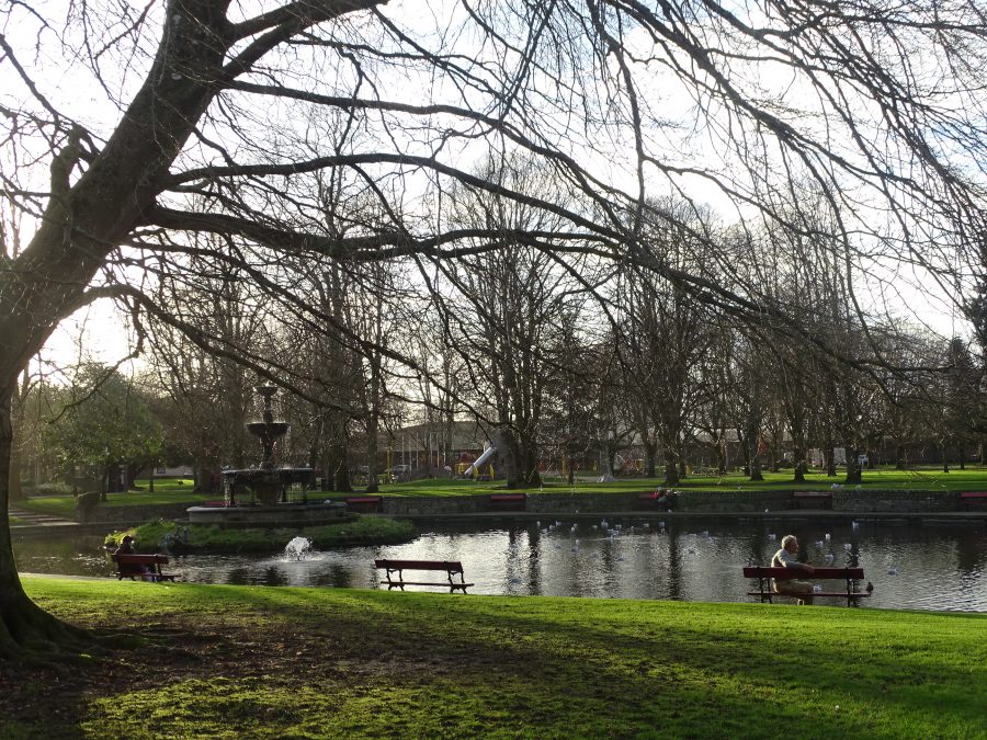 Fitzgerald's Park, Cork, January 2020 (picture: Kieran McCarthy) 