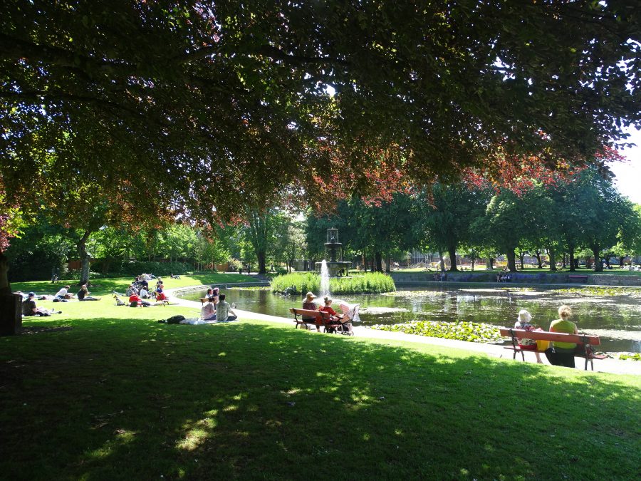 Fitzgerald's Park, Cork, June 2020 (picture: Kieran McCarthy) 