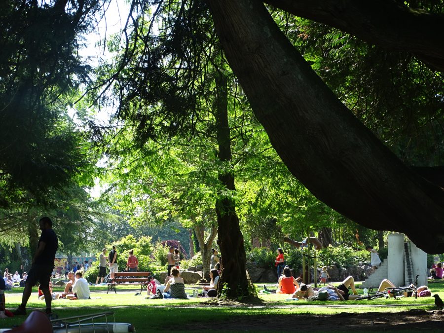 Fitzgerald's Park, Cork, June 2020 (picture: Kieran McCarthy) 