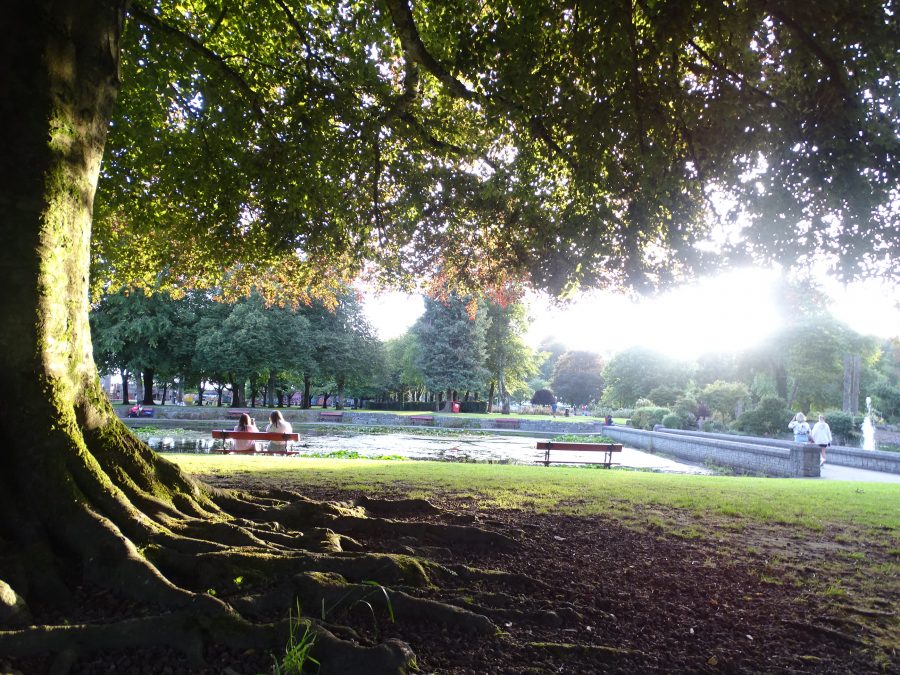 Fitzgerald's Park, Cork, June 2020 (picture: Kieran McCarthy) 