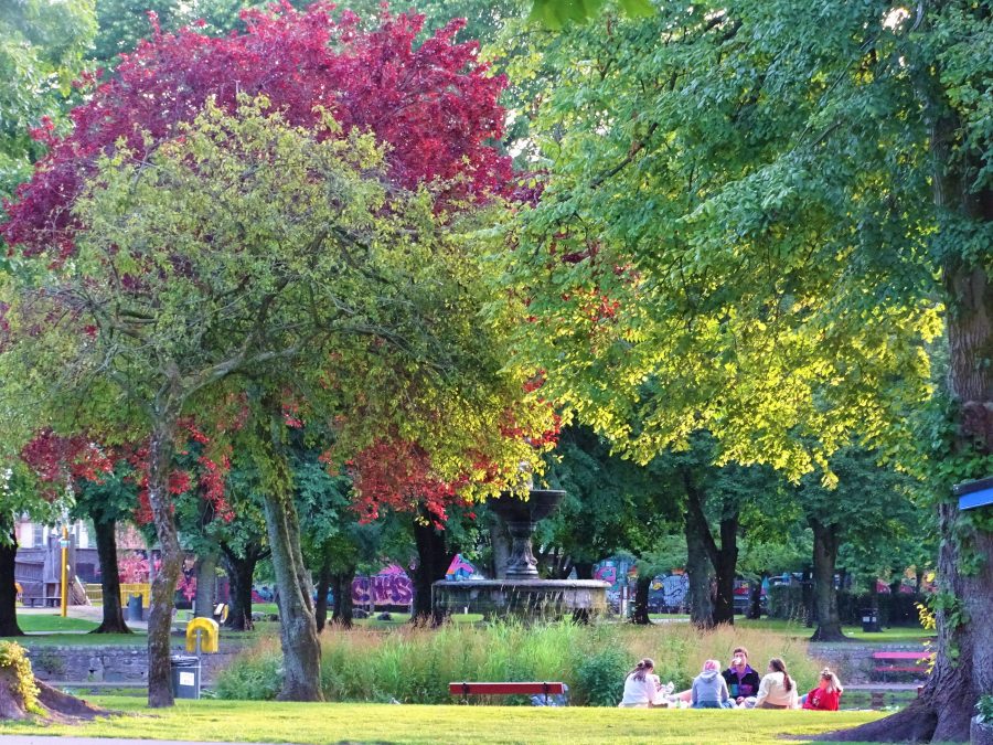 Fitzgerald's Park, Cork, June 2020 (picture: Kieran McCarthy) 