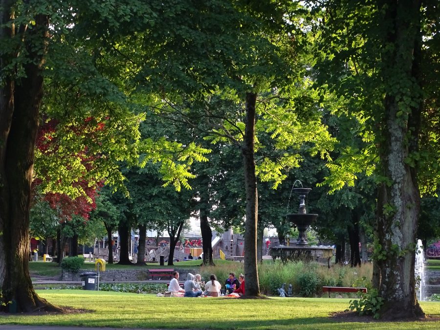 Fitzgerald's Park, Cork, June 2020 (picture: Kieran McCarthy) 