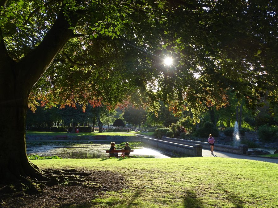 Fitzgerald's Park, Cork, June 2020 (picture: Kieran McCarthy) 