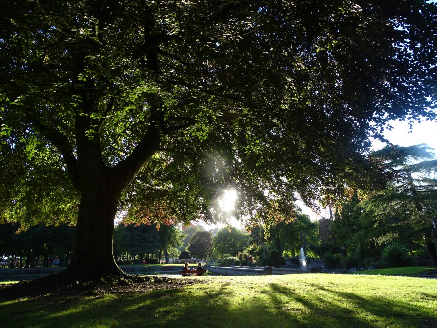 Fitzgerald's Park, Cork, June 2020 (picture: Kieran McCarthy) 