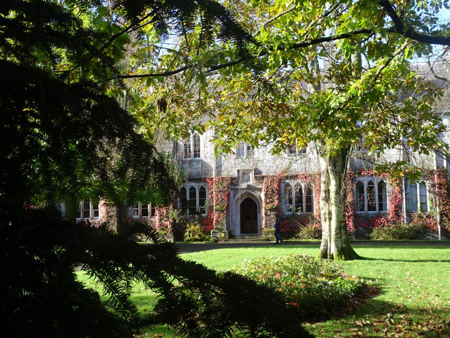 Grounds of University College Cork, Autumn, 2020 (Picture: Kieran McCarthy)