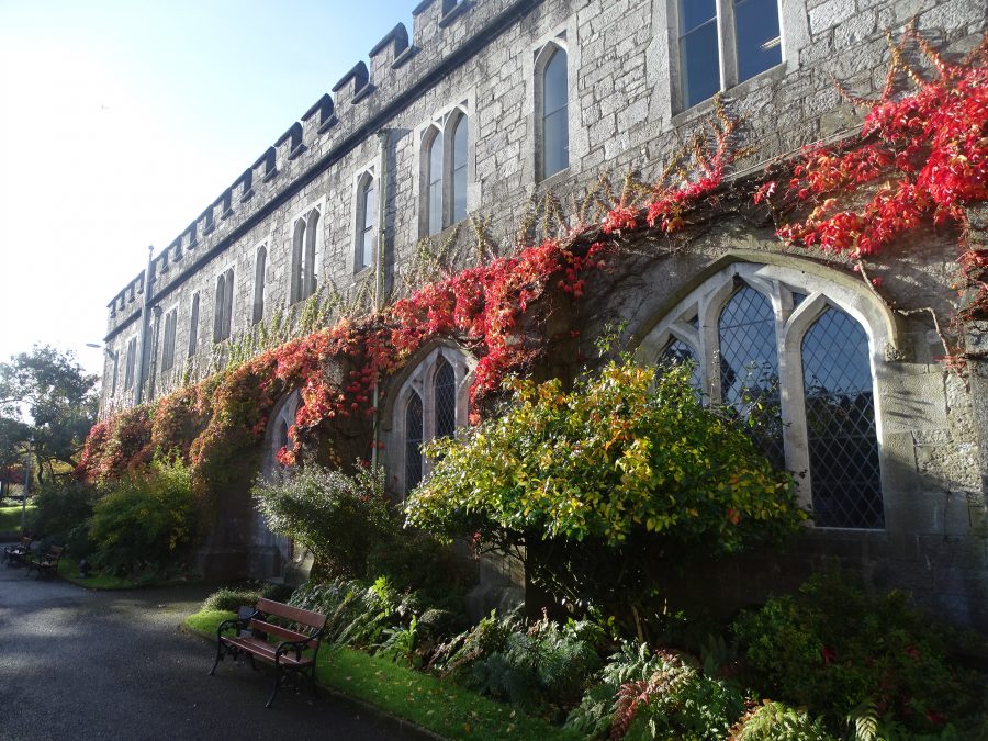 Grounds of University College Cork, Autumn, 2020 (Picture: Kieran McCarthy)