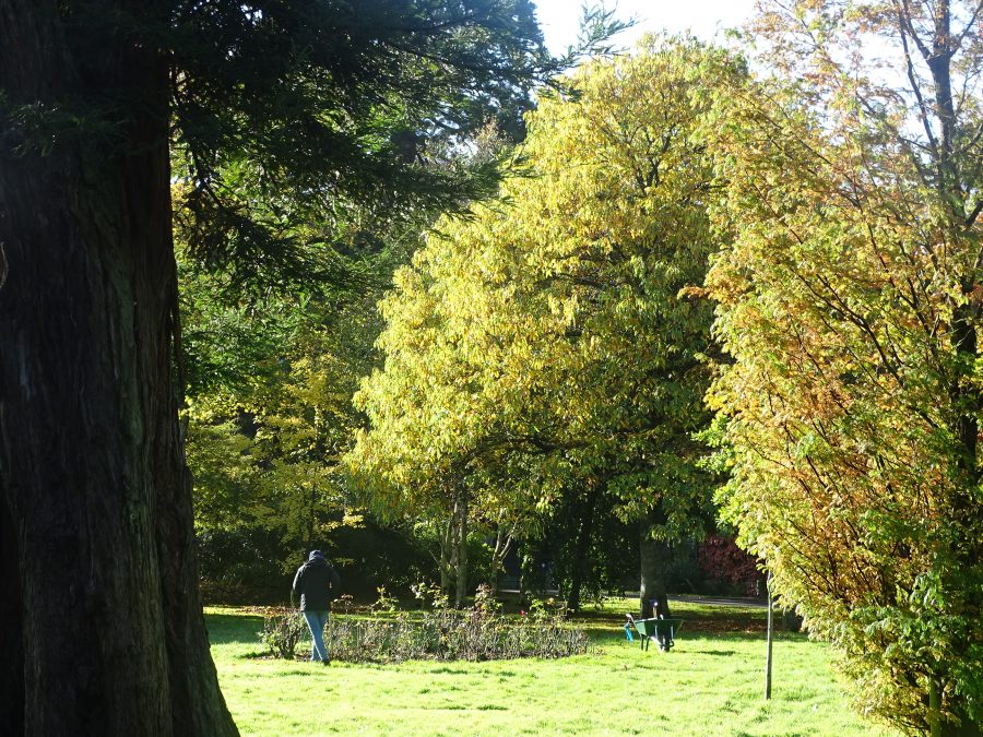 Grounds of University College Cork, Autumn, 2020 (Picture: Kieran McCarthy)