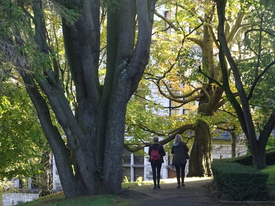 Grounds of University College Cork, Autumn, 2020 (Picture: Kieran McCarthy)