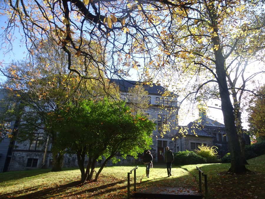 Grounds of University College Cork, Autumn, 2020 (Picture: Kieran McCarthy)