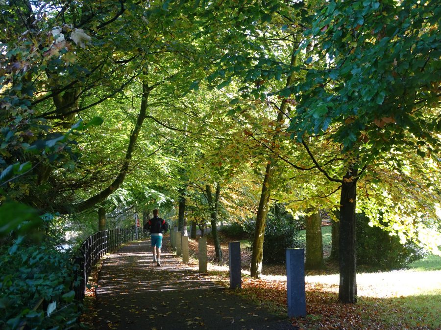 Grounds of University College Cork, October 2020 (picture: Cllr Kieran McCarthy)