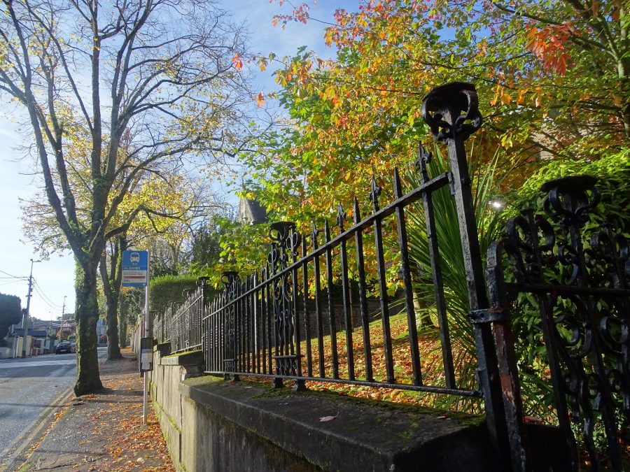 Grounds of University College Cork, Autumn, 2020 (Picture: Kieran McCarthy)