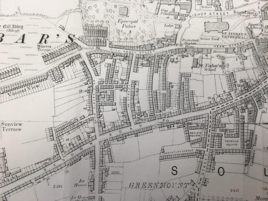 Section of slum area to the south west of St Finbarre’s Cathedral, c.1900 (source: Cork City Library)