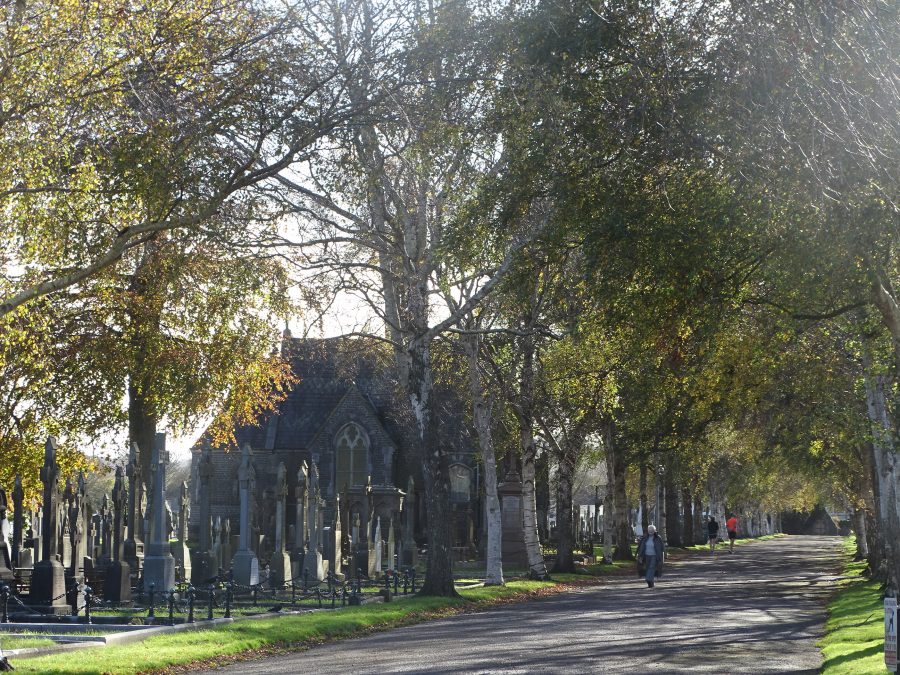 St Finbarr's Cemetery, Cork, October 2020 (picture: Cllr Kieran McCarthy)