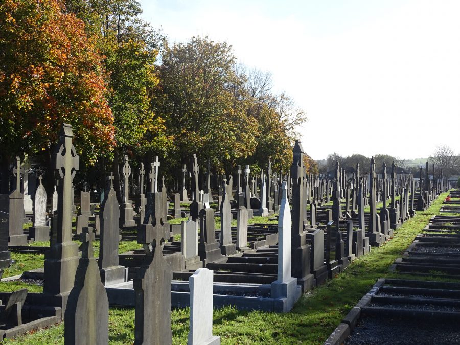 St Finbarr's Cemetery, Cork, October 2020 (picture: Cllr Kieran McCarthy)