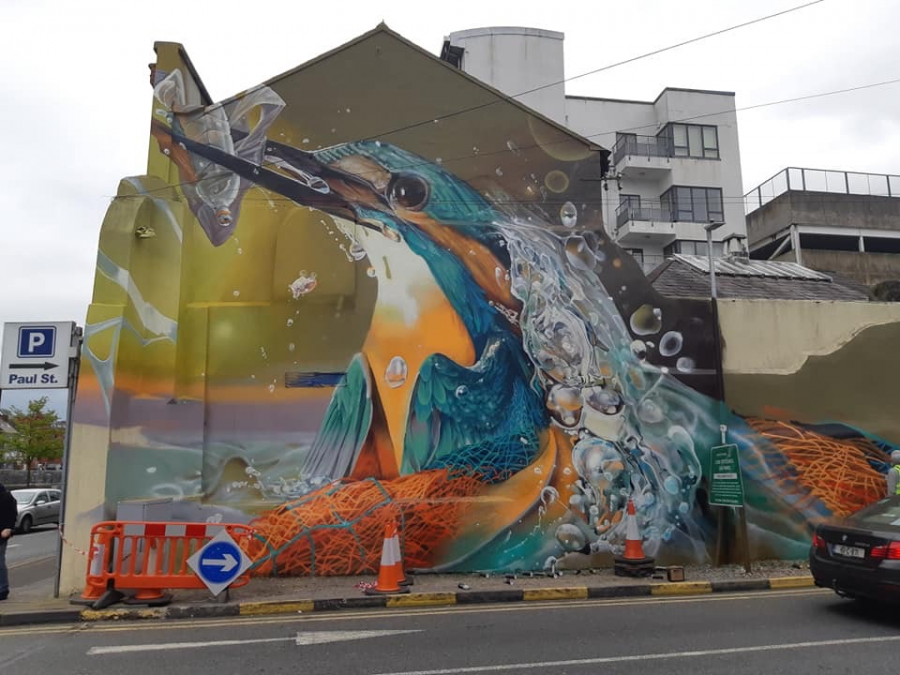 Kingfisher Mural, Lavitt's Quay, Cork, May 2019 (picture: Kieran McCarthy) 