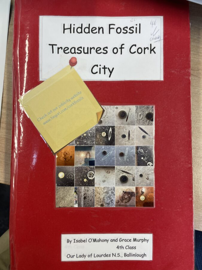 Project page, Discover Cork: Schools' Heritage Project, 2022