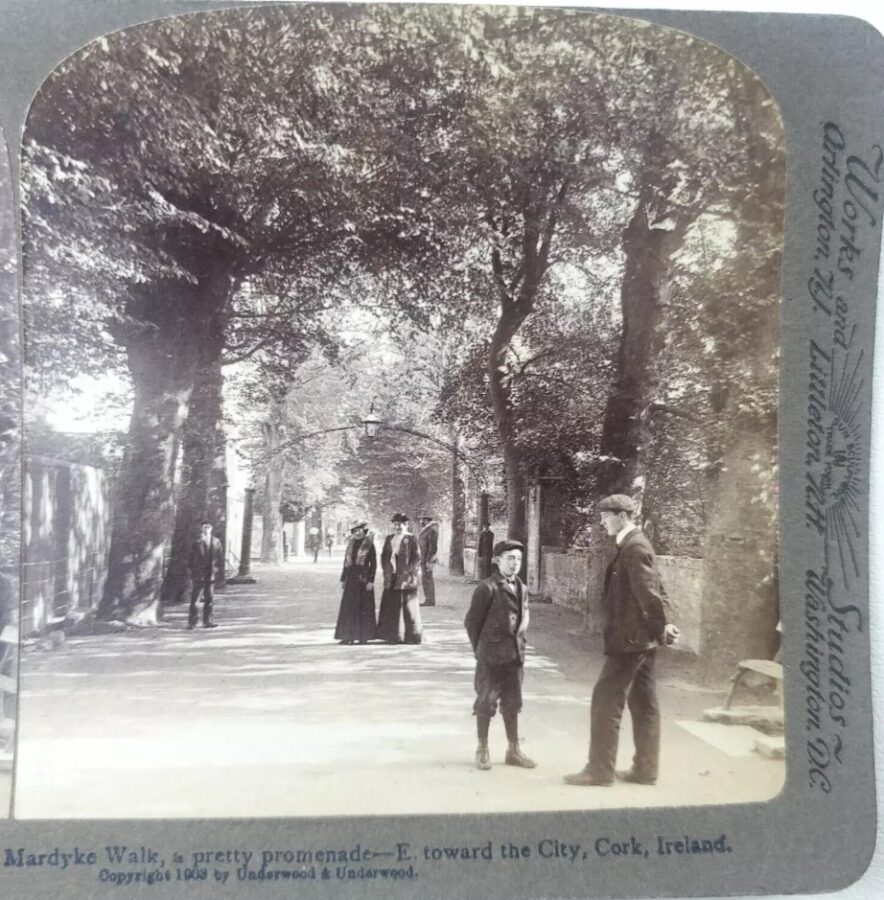 Mardyke Walk, Cork, c.1900 (source: McCarthy Archives)