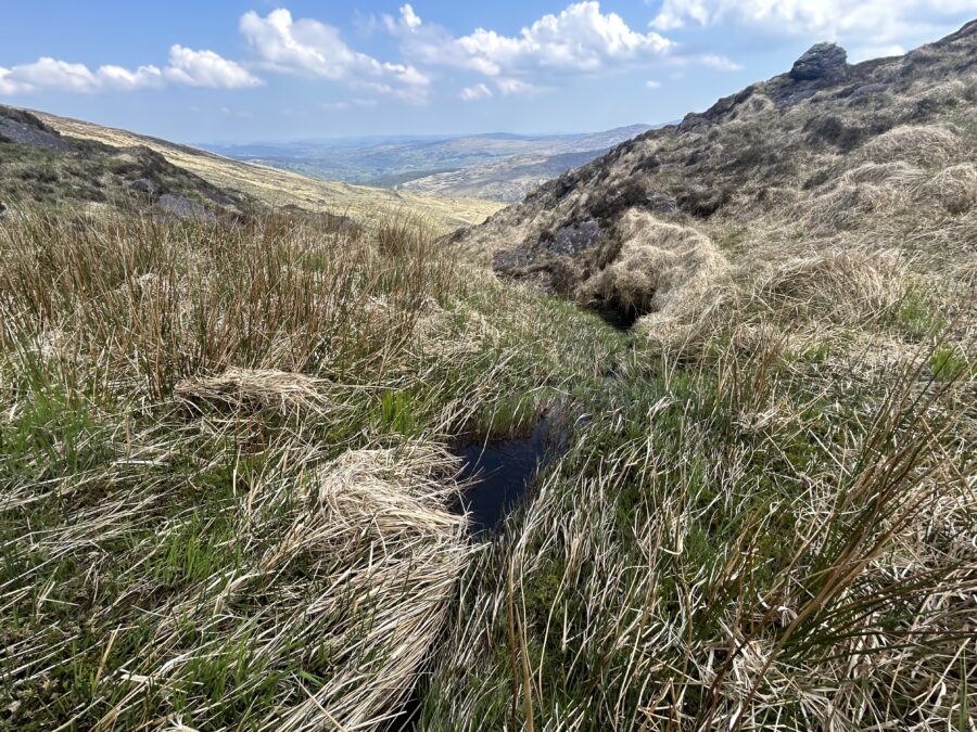 One of the source streams of the River Lee, Shehy Mountains, County Cork, present day (picture: Kieran McCarthy)
